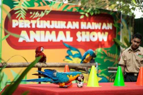 Eco Park Bukit Merah Laketown Resort