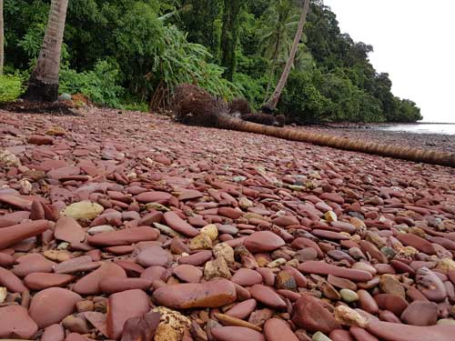 Pantai berbatu kiwi.