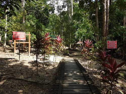 Kawasan taman rimba yang dijaga dengan bersih.