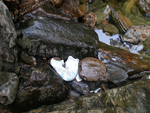 Lampin bayi ditepi batu.