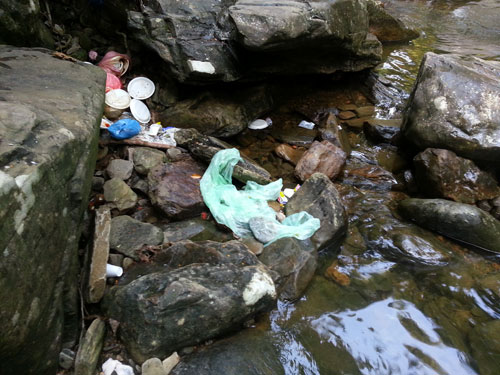 Sisa makanan dalam air.