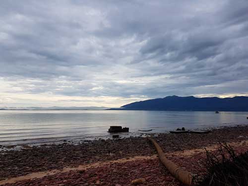 Pemandangan di awal pagi.