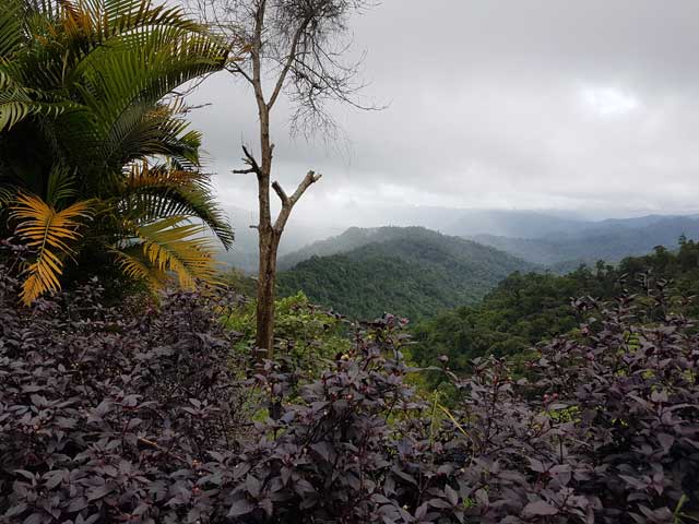 Pemandangan yang cantik.