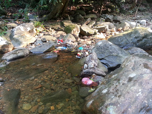 Sisa makanan dalam kolam