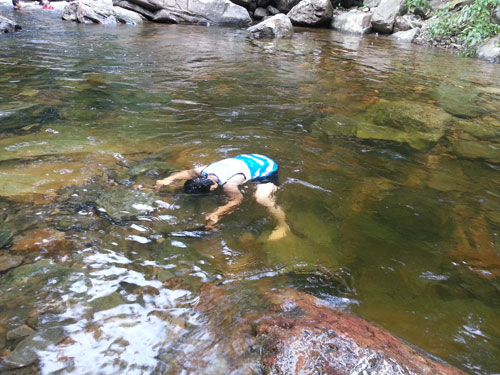 Air terjun yang jernih.