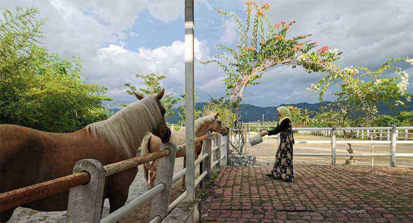 Balik Pulau Penang