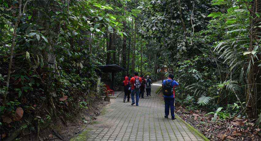Ecotourism di Kedah