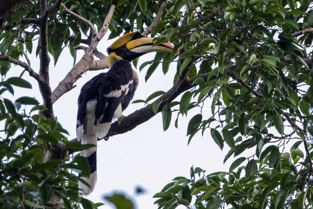 Darulaman Sanctuary Langkawi