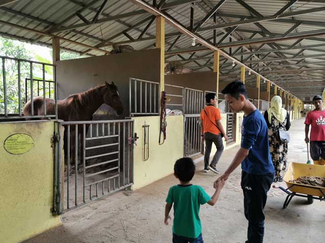 Kandang kuda Balik Pulau