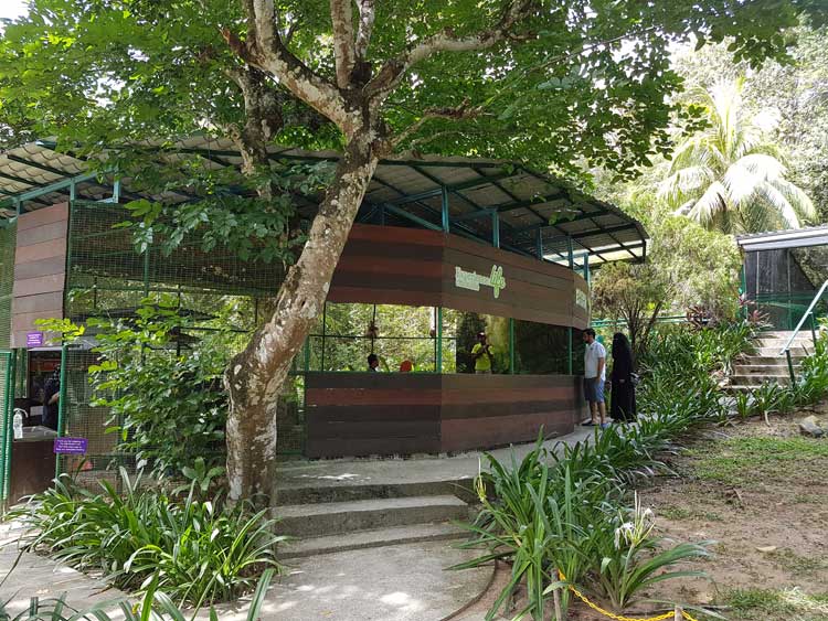 Bergambar bersama buaya