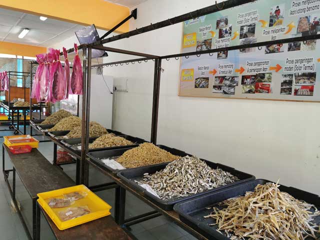 Kilang Hasil Laut Paksu