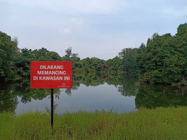 Kolam didalam taman botani