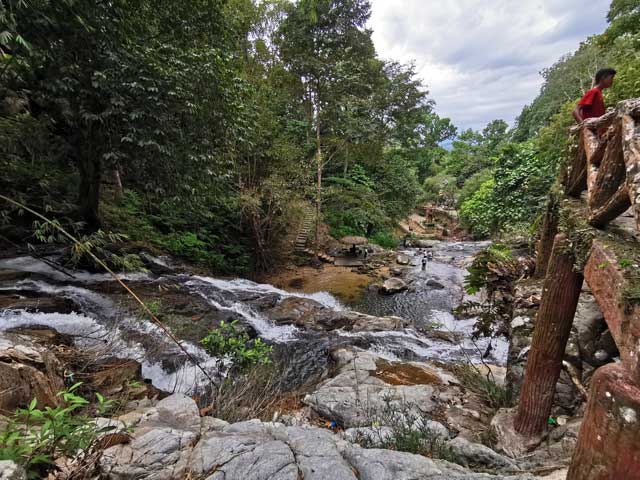 Pemandangan dari menara tinjau atas.