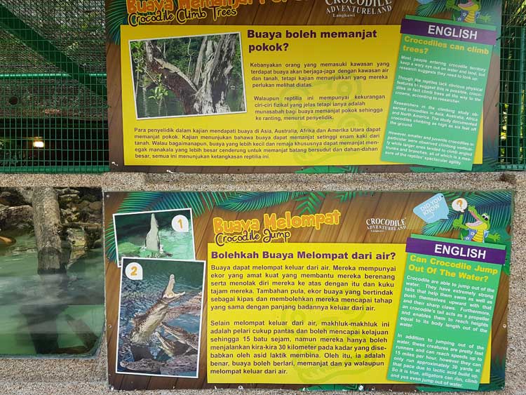 Pusat informasi buaya