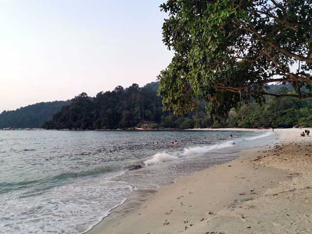 Mandi laut di Coral Beach