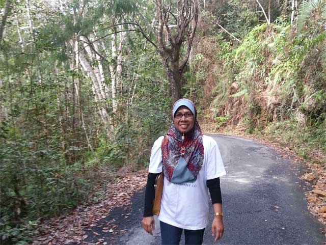 Mendaki Gunung Jerai