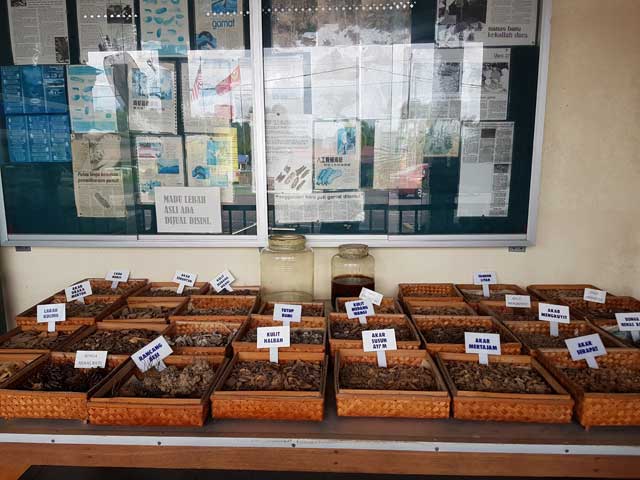 Pameran herba dan akar kayu