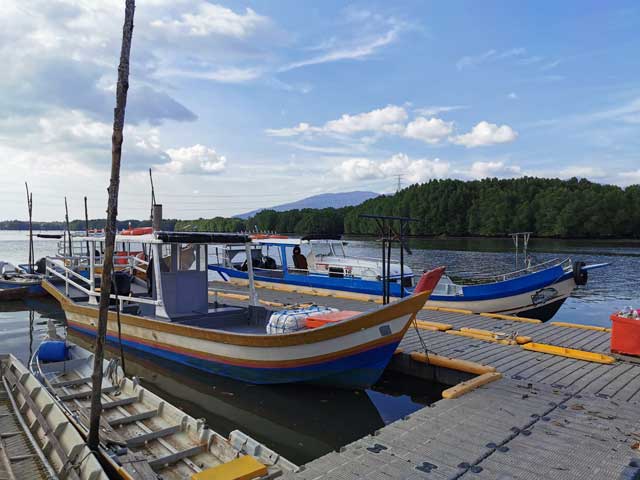 Pemandangan Sungai Merbok