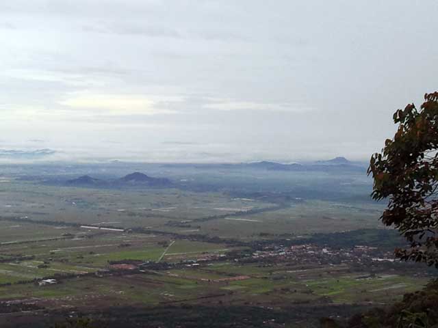 Pemandangan sawah padi dari puncak gunung Jerai