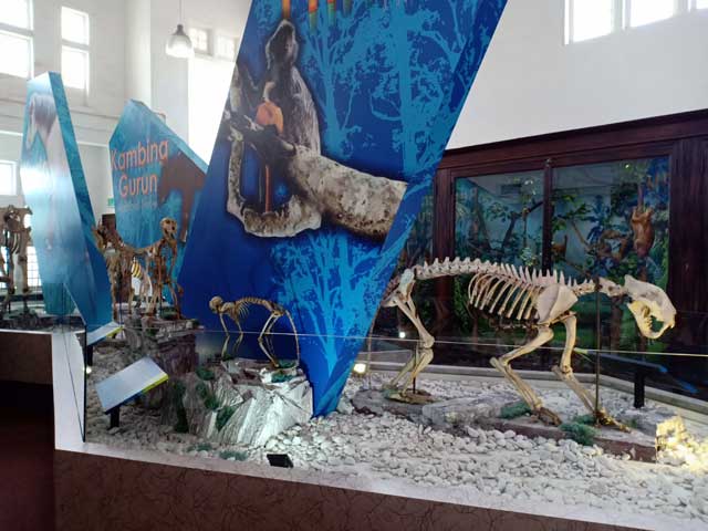 Berbagai rangka binatang