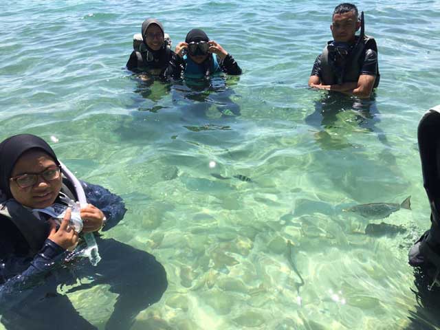 Snorkeling di Pulau Payar