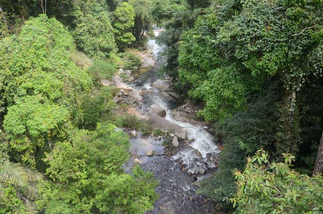 Pemandangan Sungai Sedim
