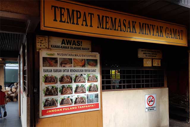 Demonstrasi memasak gamat