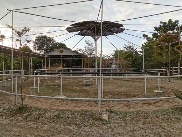 Trek menunggang kuda