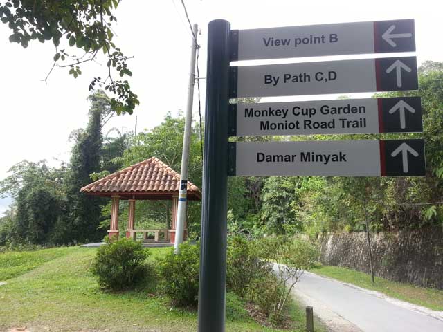 Trekking Bukit Bendera