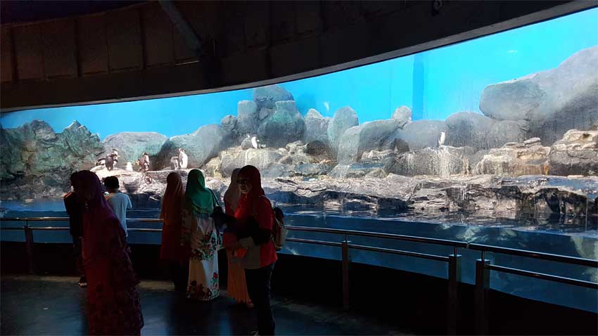 Underwater World Langkawi