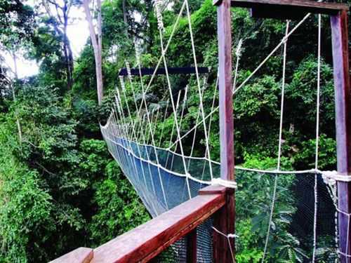 Canopy Walk yang ada di Poring Hot Spring