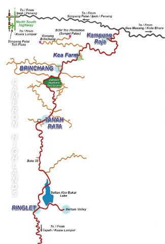 Peta Cameron Highland