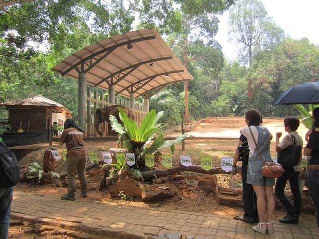 Gajah di Zoo Melaka