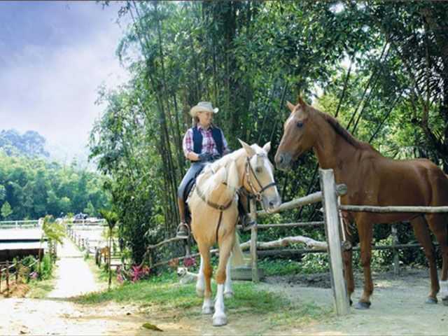 Horse Trails Bukit Tinggi Bentong Pahang.