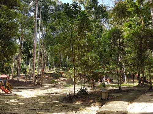 Peranginan Lata Mengkuang Sik.