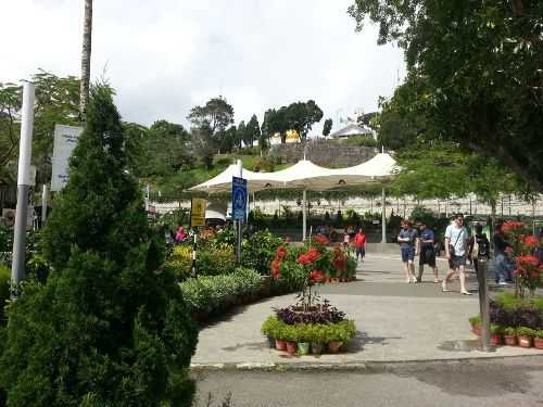 Puncak Bukit Bendera.
