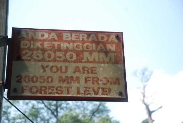Tree top walk Sungai Sedim pada ketinggian 26 meter.